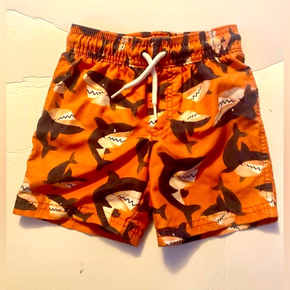 Carter's Toddler Trunks sz 2T - Picture 1 of 2